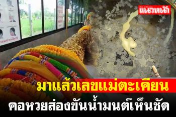มาแล้วเลขขันน้ำมนต์ \'แม่แก้วเรือนทอง\' ต้นตะเคียนในห้องกระจกติดแอร์