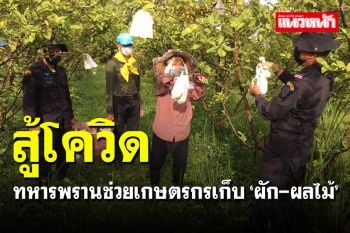 ทหารพรานช่วยเกษตรกรหมู่บ้านชายแดนเก็บ ‘ผัก-ผลไม้’ สู้ภัยโควิด