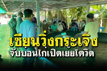 จนท.3 อำเภอปิดล้อมทลายบ่อนไก่ เซียนพนันกระเจิงจับได้ 11คน