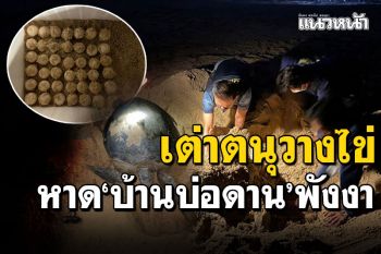 แม่เต่าตนุมาแล้ว! ขึ้นวางไข่ชายหาด\'บ้านบ่อดาน​\'พังงา