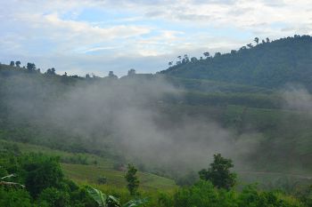 ทะเลหมอกสวยงามที่บ้านน้ำจวง เตรียมเปิดให้เที่ยว 1 ต.ค.นี้