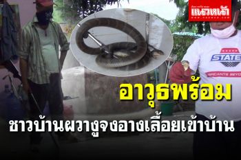 ผวาหนัก! ชาวบ้านเตรียมปืนยาว-ฉมวก ล้อมจับ \'งูจงอาง\' เลื้อยเข้าบ้าน ก่อนรุดแจ้งกู้ภัยช่วย