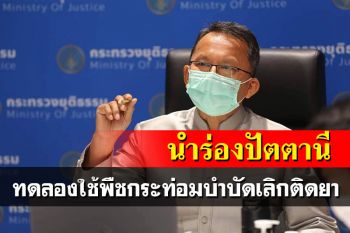 เล็งรับอาสาสมัครทดลองใช้พืชกระท่อมบำบัดเลิกติดยาบ้า นำร่องปัตตานีที่แรก
