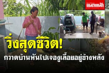 แทบช็อก!  เมียผู้ช่วยปศุสัตว์วิ่งสุดชีวิตกวาดบ้านอยู่ หันไปเจองูเลื้อยอยู่ข้างหลัง