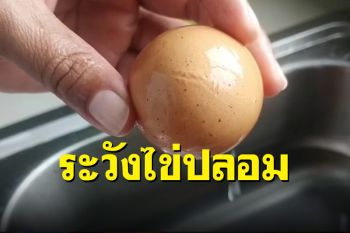 (คลิป) เตือนแม่บ้าน! ระวังไข่ไก่ปลอมกำลังระบาดในสุรินทร์
