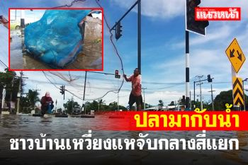 น้ำมาปลาเพียบ! ชาวบ้านพากันเหวี่ยงแหจับกลางถนนสี่แยกไฟแดงศรีสำโรง