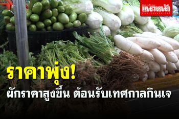 ผักราคาแพง! ต้อนรับเทศกาลกินเจ \'ขึ้นฉ่าย\' ราคาพุ่งกก.ละ 180 บาท