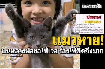 แมวหาย! พ่อเศร้าลูกร้องไห้คิดถึงมาก พึ่งสิ่งศักดิ์สิทธิ์บน\'หลวงพ่อเคลือบ\'ขอให้เจอ