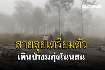 กลุ่มชาวบ้านสำรวจปรับเส้นทางเดินป่าชม \'ทุ่งโนนสน\' รอประกาศเปิดให้ นทท.สายลุยเข้าชม