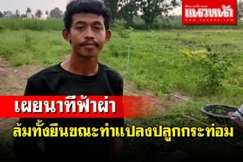 ฟ้าผ่าน้าหลานล้มทั้งยืนขณะช่วยกันทำแปลงปลูกต้นกระท่อมรอดปาฏิหาริย์ทั้ง 2 คน