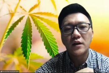 ก้าวหน้าอีกขั้น!‘กัญชา’ขยายวงสู่ธุรกิจยา-อาหารสัตว์ ดันสู่ soft power พ่วงกระท่อม