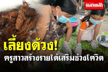 ครูสาวพลิกวิกฤตเป็นโอกาส หันมาเลี้ยง \'ด้วงมะพร้าว\' สร้างรายได้เสริมช่วงโควิด