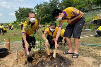 กรมอุทยานฯปลูกซ่อมต้นลำพูฟื้นตำนานหิ้งห้อยมุ่งสู่คาร์บอนเครดิตพิชิตโลกร้อน
