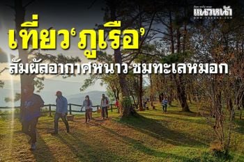 ลมหนาวมาแล้ว! นักท่องเที่ยวแห่สัมผัสทะเลหมอก \'ภูเรือ\' จ.เลย