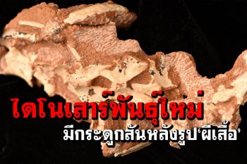 จีนพบ‘ไดโนเสาร์พันธุ์ใหม่’ มีกระดูกสันหลังรูป‘ผีเสื้อ’
