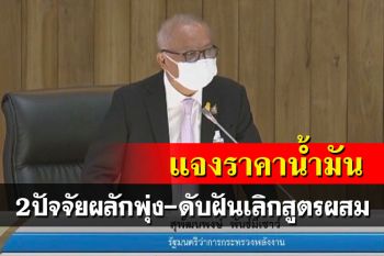 ‘สุพัฒนพงษ์’แจงส.ว. 2 ปัจจัยผลัก‘น้ำมัน’ราคาพุ่ง กางชัดๆแพ็คเกจควบคุม