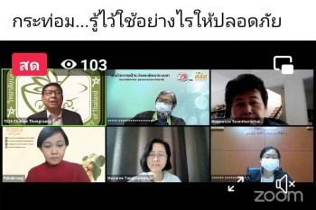 ‘สายเคี้ยว’อ่านโดยพลัน เภสัชฯแนะกิน‘กระท่อม’อย่างไรปลอดภัย