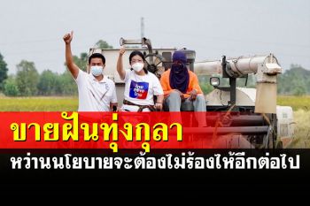 \'เจ๊หน่อย\'ขายฝันกลางทุ่งกุลา ซับน้ำตารับซื้อข้าวเปลือกกิโลฯละ12บาท
