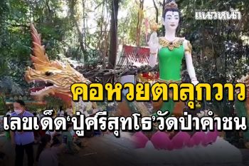 คอหวยตาลุกวาว! ขอโชค\'ปู่ศรีสุทโธ\'วัดป่าคำชน นาคน้อยรำชูนิ้วใบ้เลขเด็ด