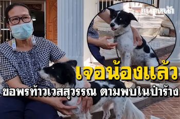 เจ้าของดีใจลมแทบจับ! น้องหมาหาย บนท้าวเวสสุวรรณ เจอซุกในป่าร้าง
