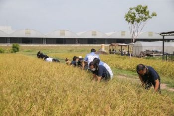 \'บุญรอดเอเซียเบเวอเรช\'คว้ารางวัลโครงการแรงงานพันธุ์ดี ตามวิถีเศรษฐกิจพอเพียง ประจำปี 2564