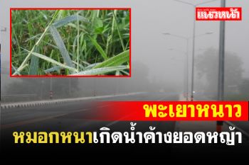 พะเยาอุณหภูทิลด! หมอกลงจัดเกิดน้ำค้างยอดหญ้า ปชช.เริ่มใส่เสื้อกันหนาว