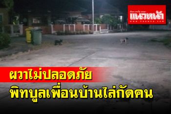 ผวาทั้งหมู่บ้าน​สุนัขพิทบูลเพื่อนบ้านวิ่งไล่กัดคนไปทั่ว​วันเดียวโดน 2 รายซ้อน​
