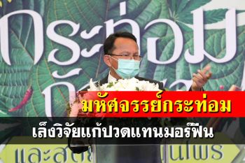 ยธ.เล็งวิจัยกระท่อม สกัดสารแก้ปวดแทนมอร์ฟีน กม.ใหม่ถอด‘กัญชา’ออกใช้เป็นยา