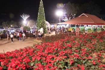 ‘เลย’รับลมหนาว เปิดเทศกาลต้นคริสต์มาสภูเรือ กระตุ้นท่องเที่ยว