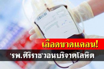 ด่วน! \'รพ.ศิริราช\'วอนบริจาคโลหิต ขาดแคลนทุกหมู่ โดยเฉพาะ A - B
