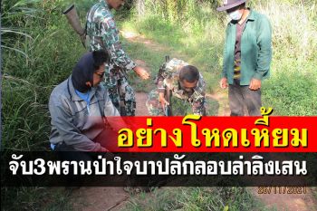 จับ3พรานป่าใจบาป! ล่า\'ลิงเสน\'ใช้เถาวัลย์มัดคอซากลากออกจากป่าอย่างโหด