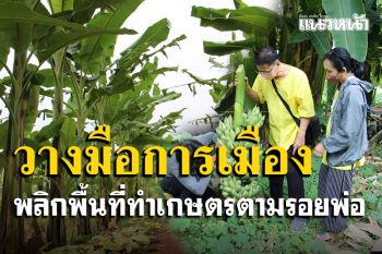อดีต ส.ส.ราชบุรีหันใช้ชีวิตในบั้นปลายพลิกพื้นที่ทำเกษตรตามแนวเศรษฐกิจพอเพียง