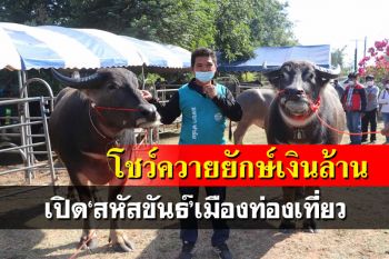 จัดใหญ่ขบวนแห่หลวงพ่อเจ็ดกษัตริย์ โชว์‘ควายยักษ์’เงินล้านเปิด‘สหัสขันธ์’เมืองท่องเที่ยว