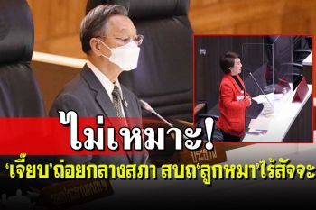 ส.ส.พาเหรดโหนสลายจะนะรักษ์ถิ่น‘เจี๊ยบ’ถ่อยกลางสภา‘ลูกหมา’ไร้สัจจะ