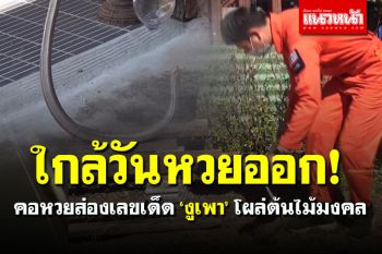 คอหวยไม่พลาด! ส่องเลขเด็ดเลขที่บ้าน \'งูเพา\' โผล่ หวังลุ้นโชคงวด 16 ธันวาฯ