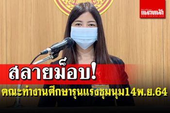 ‘กมธ.ก้าวไกล’ยื่นหอกคณะทำงานศึกษาความรุนแรงสลายม็อบ14พ.ย.64