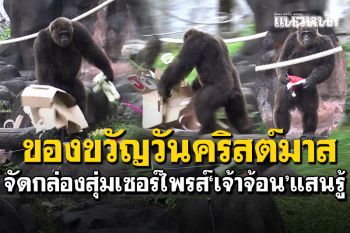 ของขวัญคริสต์มาส! จัดกล่องสุ่มเซอร์ไพรส์\'เจ้าจ้อน\' ลิงแสนรู้แห่งสวนสัตว์สงขลา
