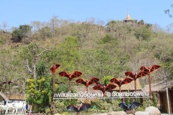 ลูกเสือที่บ้าน 14.27 พาเที่ยวทั่วไทย ราชบุรี : อาทร จันทวิมล