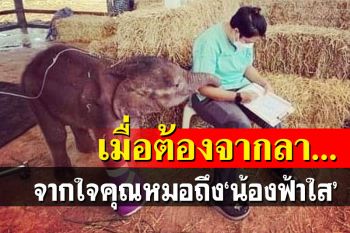 จงกลับไปดาวลูกช้าง ไปวิ่งเล่นบนนั้นกับพวกพ้องให้สุดๆไปเลยนะ\'ฟ้าใส\'