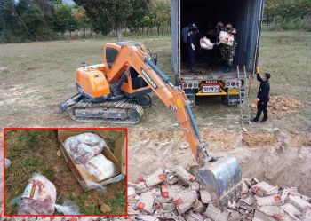 ค้นแล้ว539ห้องเย็น  พบซากสุกร13.41ล้านกก.  ปศุสัตว์เช็คยิบป้องกันกักตุน