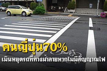 อึ้ง! คนญี่ปุ่น70%เมินหยุดรถที่ทางม้าลายหากไม่มีสัญญาณไฟ