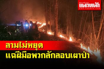 ไฟป่าแม่ฮ่องสอนลุกลามไม่หยุด จนท.เร่งดับ แฉฝีมือพวกลักลอบเผาป่า
