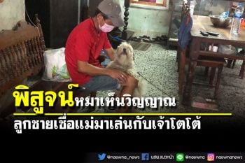 บุกพิสูจน์หมาเห็นวิญญาณ ลูกชายเชื่อแม่ลงมาเล่นกับ\'เจ้าโตโต้\'