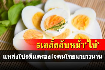 นักโภชนาการแนะ 5 เคล็ดลับกิน‘ไข่’ แหล่งโปรตีนที่ครองใจคนไทยมายาวนาน
