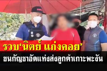 รวบ\'นิตย์ แก่งคอย\'ลอบขนกัญชาอัดแท่งส่งขายลูกค้าที่เกาะพะงัน
