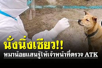 สุดน่ารัก! หมาน้อยแสนรู้นั่งนิ่งให้เจ้าหน้าที่ตรวจ ATK