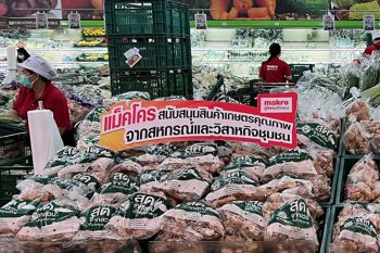 แม็คโครผนึกกรมส่งเสริมการเกษตรรุกช่วยวิสาหกิจชุมชนปลูกขิง เพชรบูรณ์