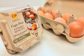 ‘ซีพีเอฟ’กางแผนผลิตไข่ไก่ Cage Free เพิ่มเป็น 20 ล้านฟองในปี65 ลุยส่งออกฮ่องกง