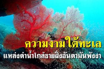 เปิดนิทรรศการสำรวจแหล่งดำน้ำใกล้ชายฝั่งอันดามันดันท่องเที่ยวเชิงอนุรักษ์