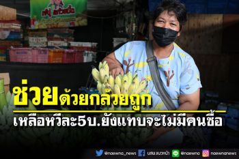 แม่ค้าจะเป็นลม กล้วยถูกมากเหลือหวีละ 5 บ. ยังแทบจะไม่มีคนซื้อ